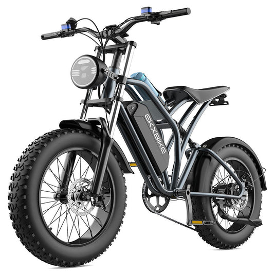 EKX T1 1000W 48v